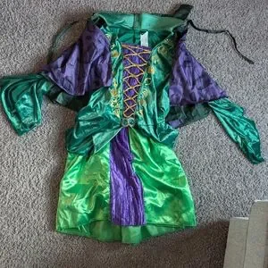 Dresses | Winifred Hocus Pocus Halloween Costume | Poshmark